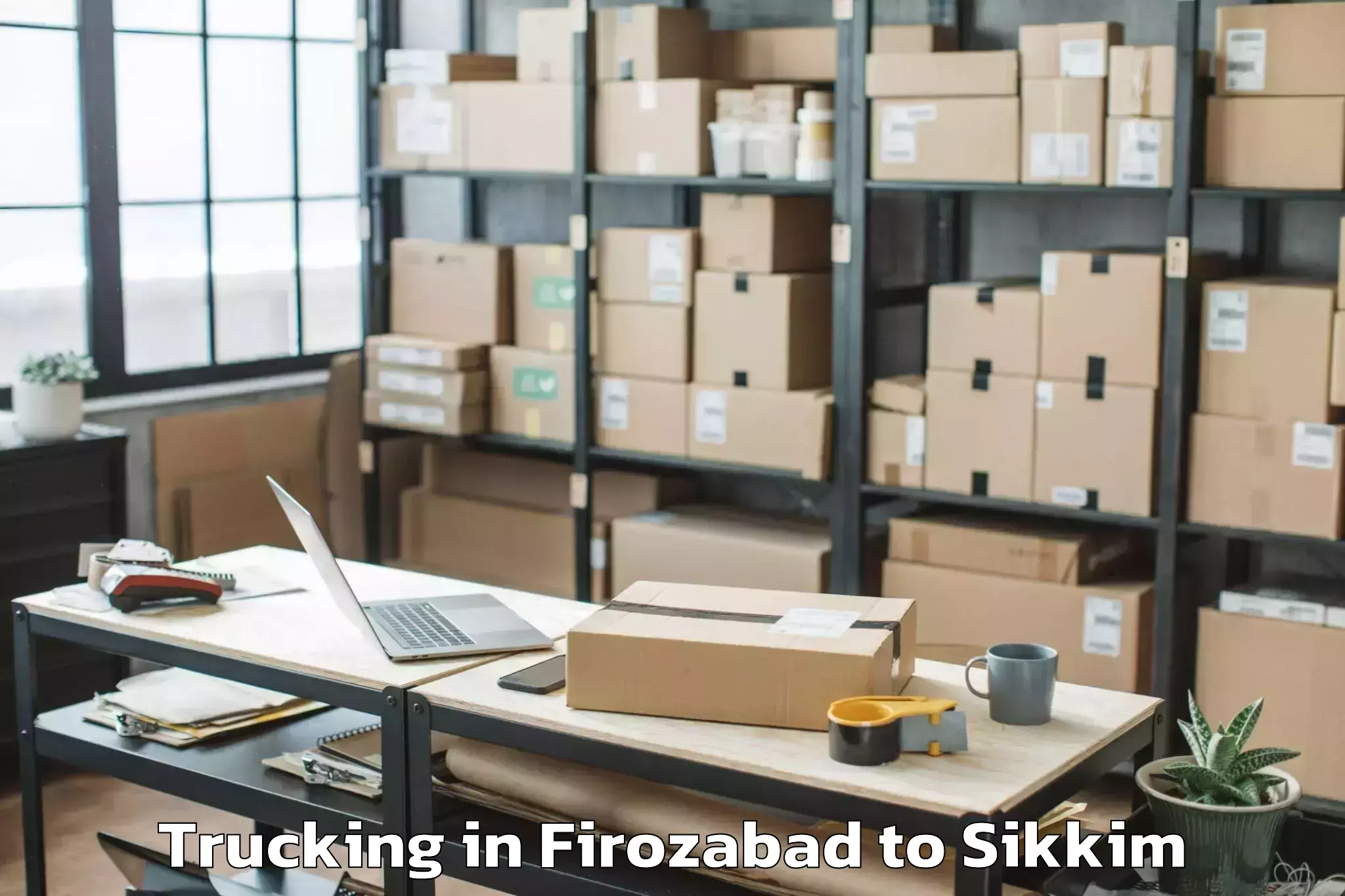 Book Firozabad to Geyzing Trucking Online